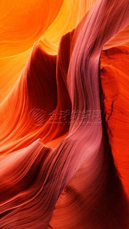 采购甲壳素纤维面料