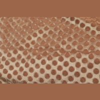 ˢ���q��������