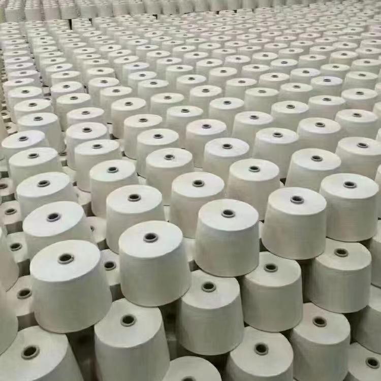 101|product|T1.ZZTB4JT1RXGfGS2.jpg
