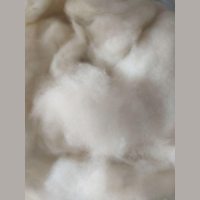 �d���q����(x��)��18��18.5�L(zh��ng)��26��30