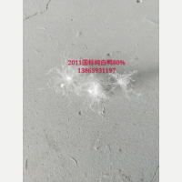 2011(gu)(bio)80%
