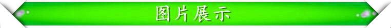101|product|T18zWTBvKT1RXGfGS2.jpg