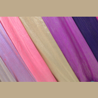 ���˗l�C��