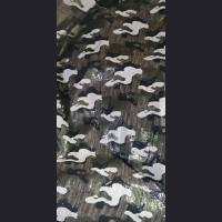 ��ɫ��Ƭ�C