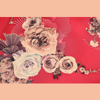 �F(xi��n)؛����(y��ng)��(sh��)�aӡ������