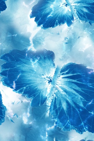 蓝色 扎染花型 荷叶花卉 渐变 中国 #1315192