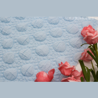 T400�Ứ�AȦ���ݲ�