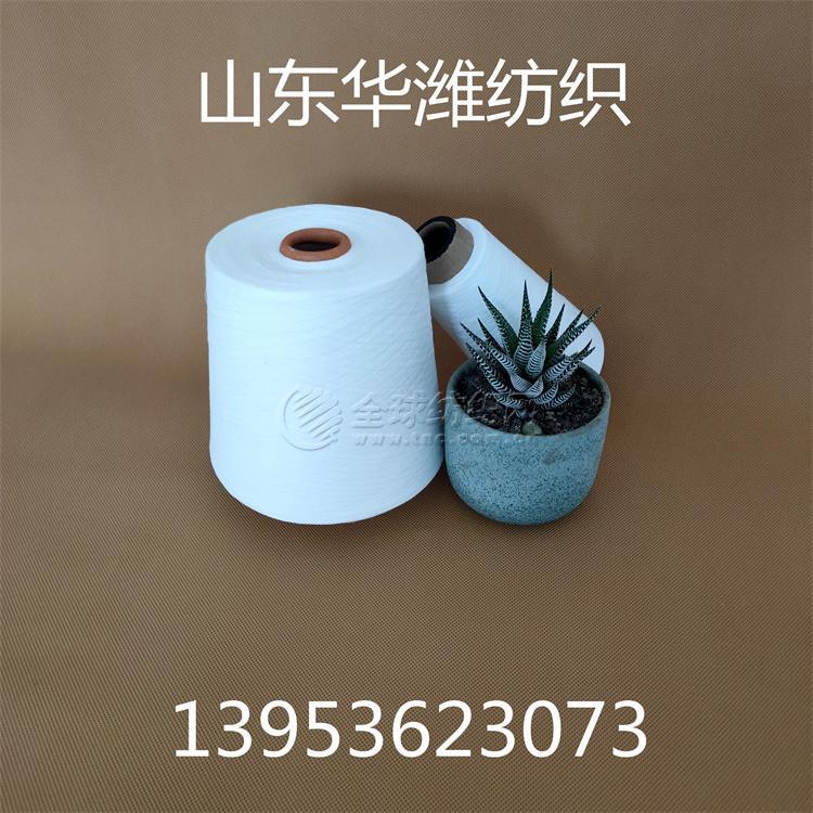 102|product|T12HDTBmKT1RCb1PS2.jpg