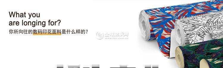102|product|T1W4_TBmdT1RCb1PS2.jpg