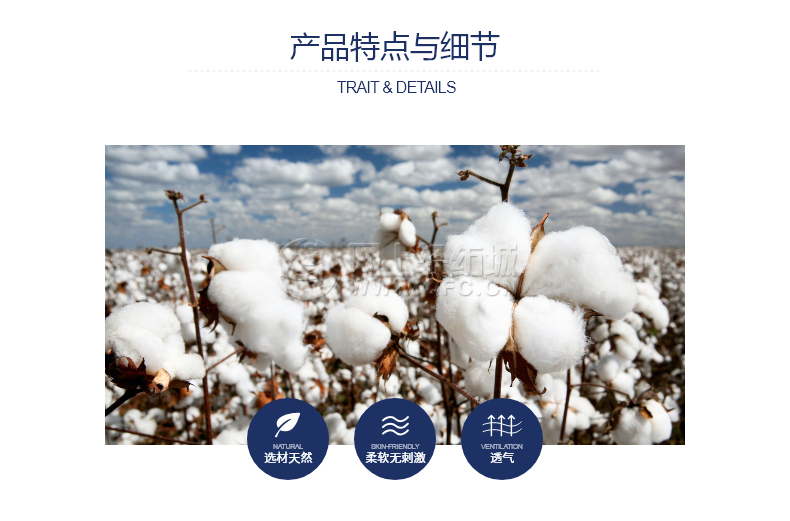 102|product|T1AtDTBCK_1RCJv.NG.png