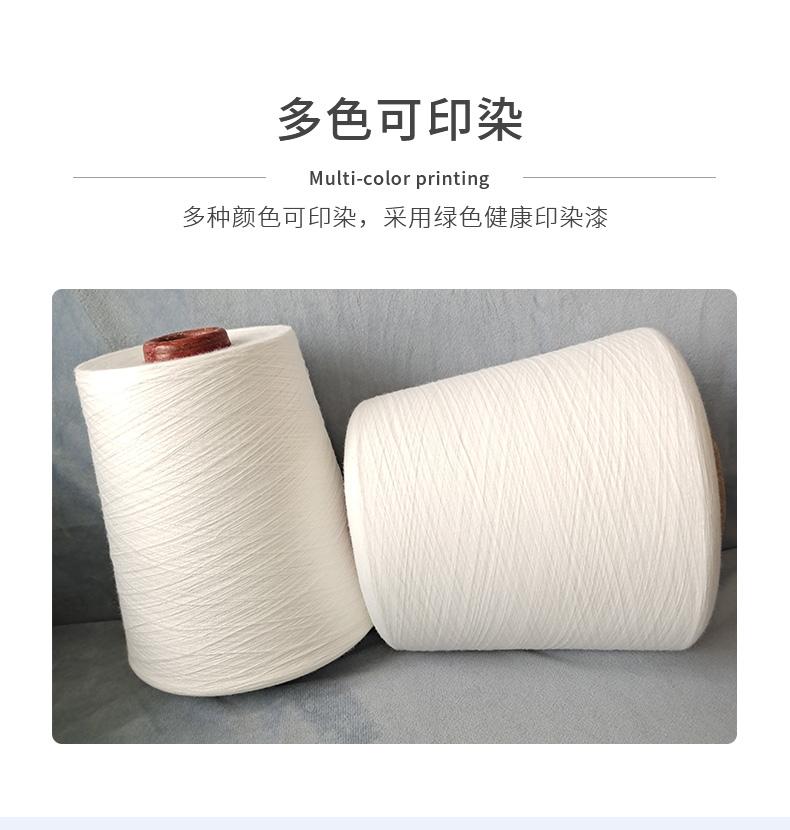 102|product|T1zEDTBXKT1RCb1PS2.jpg