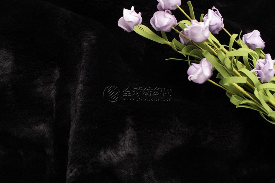 102|product|T1G4CTBgJT1RCxUzQW.JPG