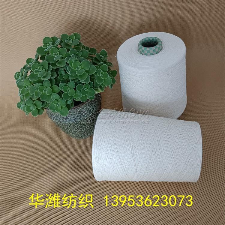 102|product|T138YTBCxT1RCb1PS2.jpg