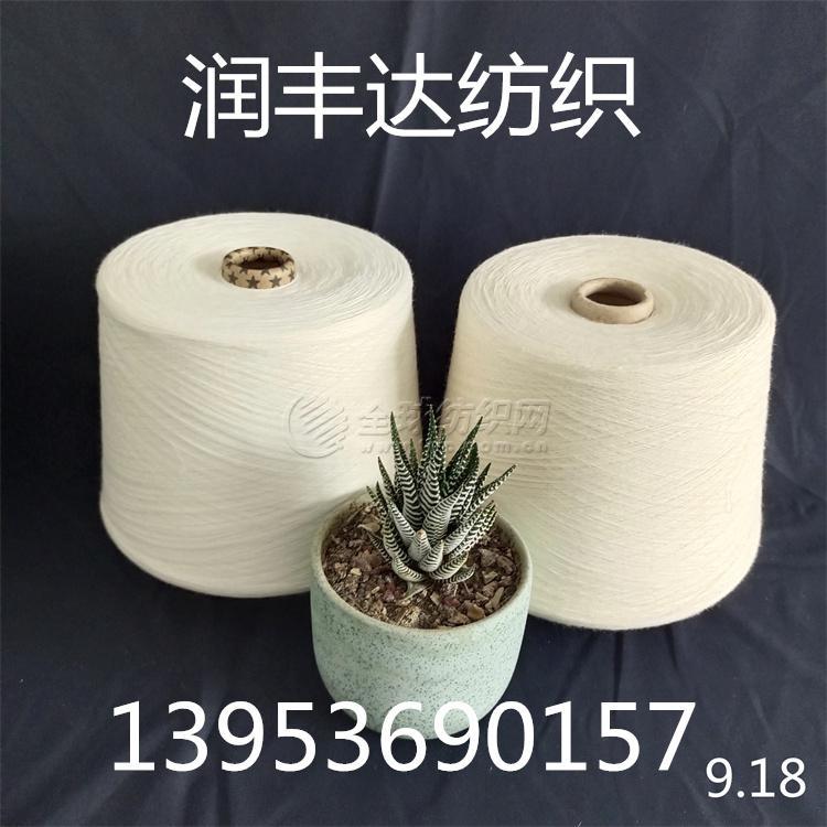 102|product|T1_pdTBKDT1RCb1PS2.jpg