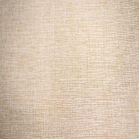 (數(shù)字化)春秋新品TR人棉平紋布 男女襯衫褲子工裝面料批發(fā)