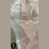 单穿特丽纶坯布成品 窗帘窗纱 透光易清洗 厂家直销大量供应